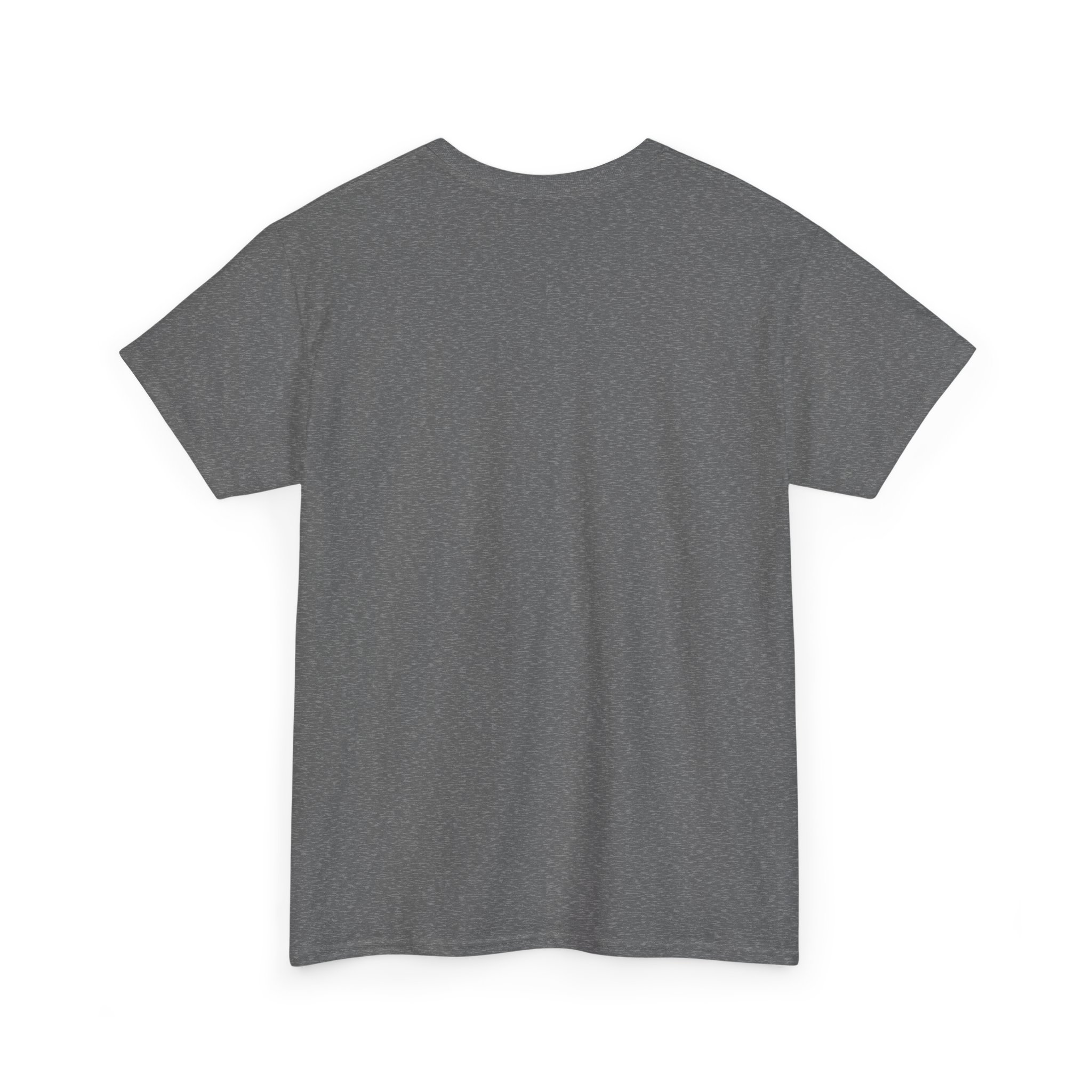 Find Your Freedom T-Shirt — Rainbow Phoenix Graphic Tee - Image 48